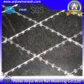 Electro Galvanized Iron Razor Barbed Wire for Security Fencing with ISO9001